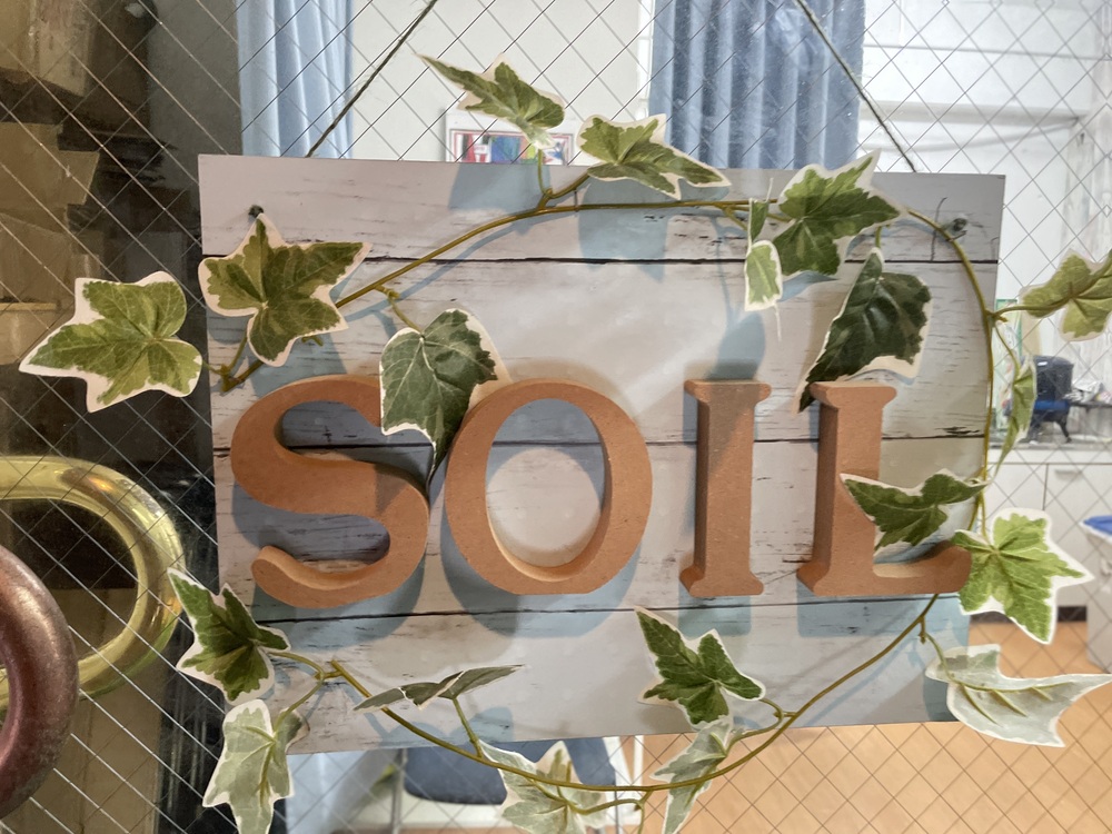 SOILについて